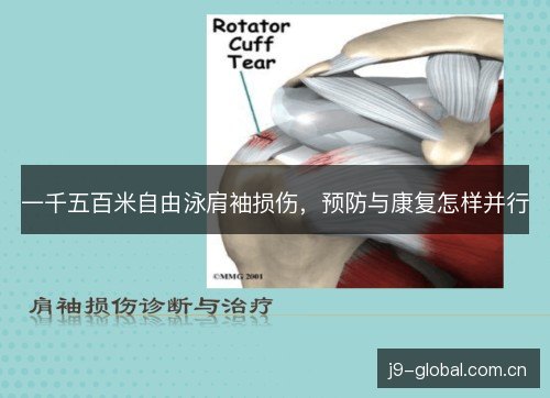 一千五百米自由泳肩袖损伤，预防与康复怎样并行